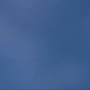 Meet your Posher, Ella